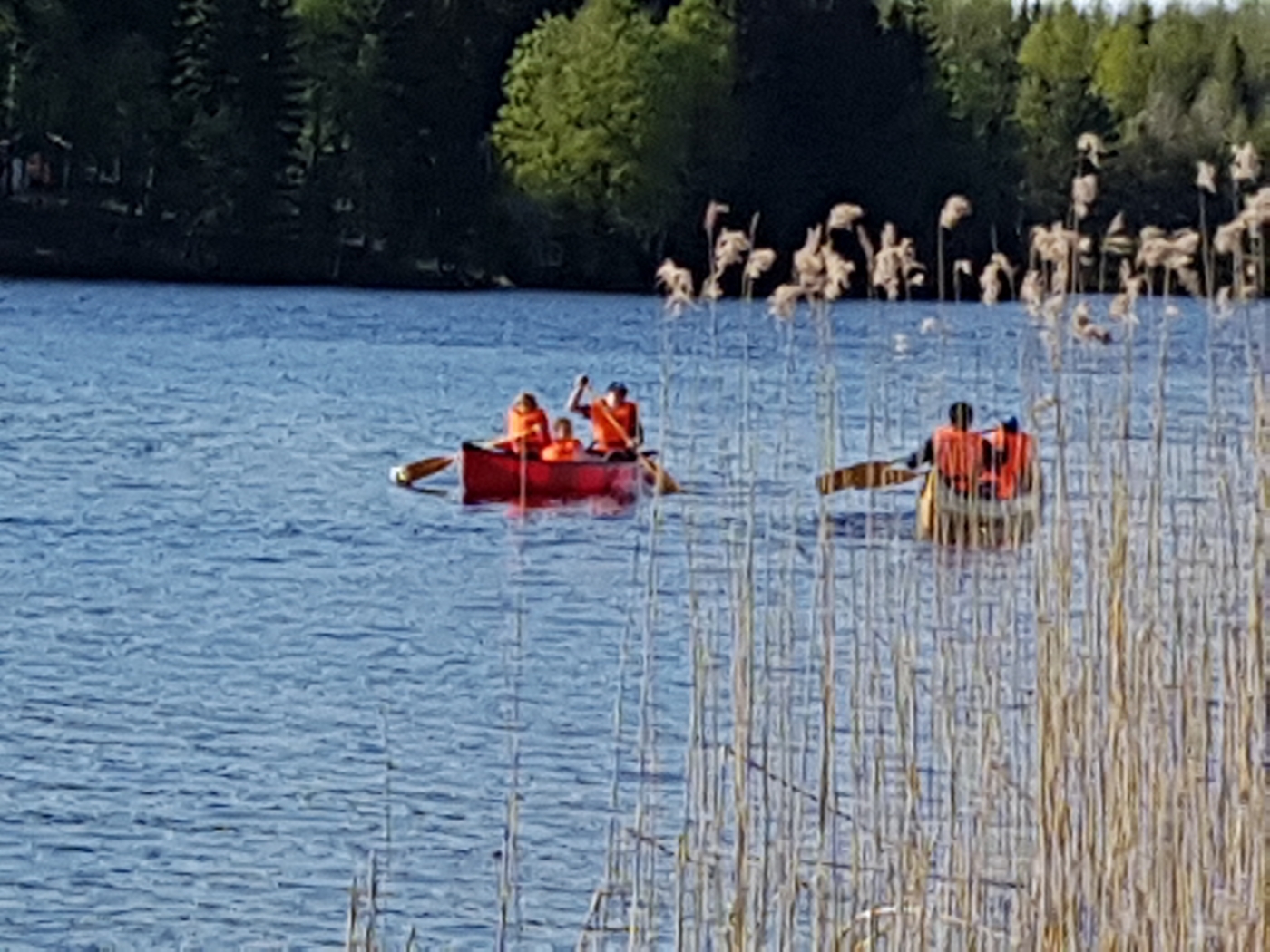 Skövde-Skultorp Scoutkår