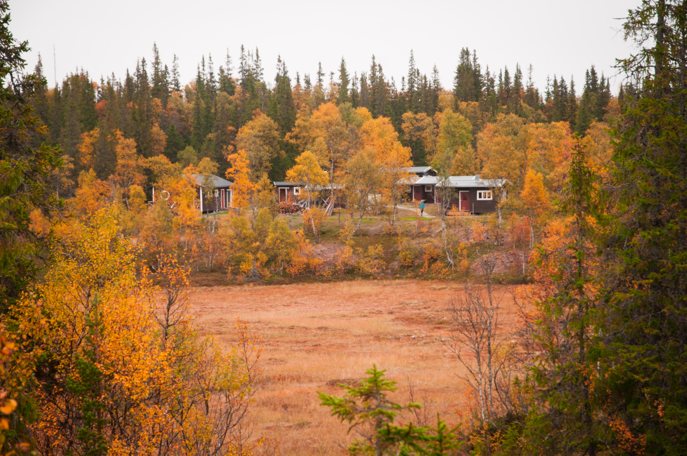 Rixhajk i jämtlandsfjällen för utmanarscouter