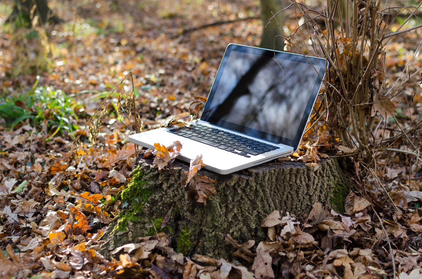 Tips för digitala scoutmöten!